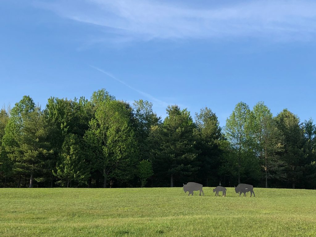 Buffalo Trace Park