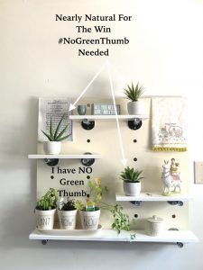 No Green Thumb, No Worries, Nearly Natural To The Rescue