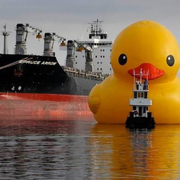 The WorldsLargestRubberDuck will be in Sandusky Oh for the Festival of Sail in July