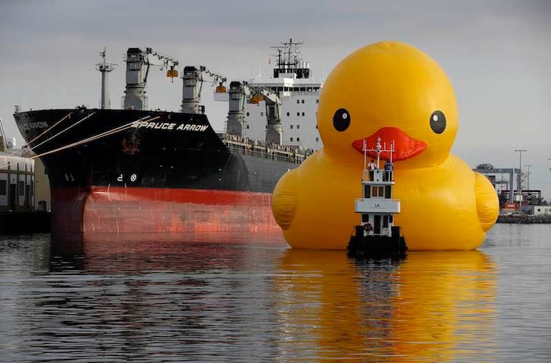 The WorldsLargestRubberDuck will be in Sandusky Oh for the Festival of Sail in July