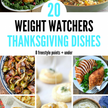 weight watchers thanksgiving recipes