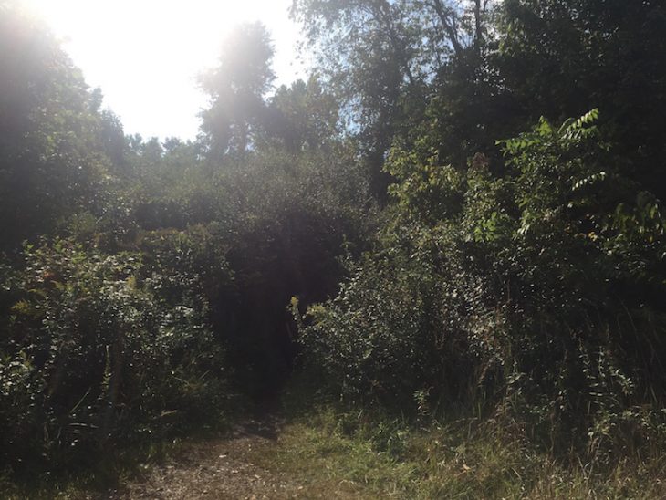 The TNT Tours take you to the famous TNT area where the Mothman was thought to live during its reign of terror on Point Pleasant.