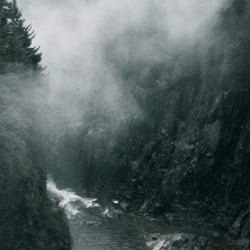 Pacific Northwest Road Trip