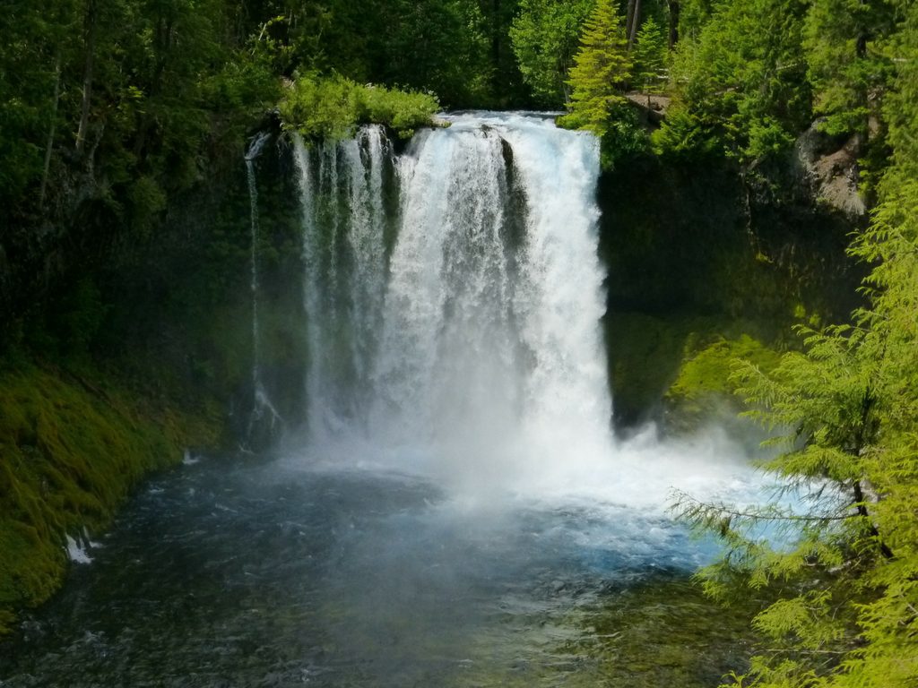 top 5 stop pacific northwest road trip