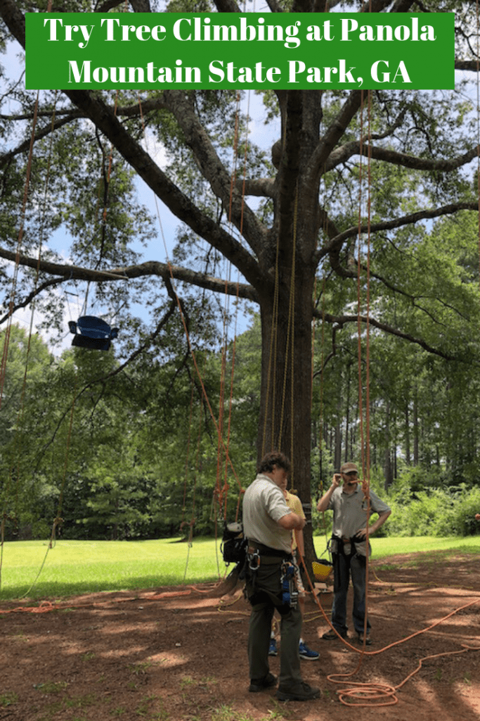Tree Climbing at Panola Mountain State Park, GA