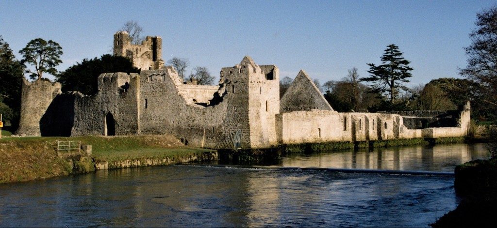 adare desmond castle