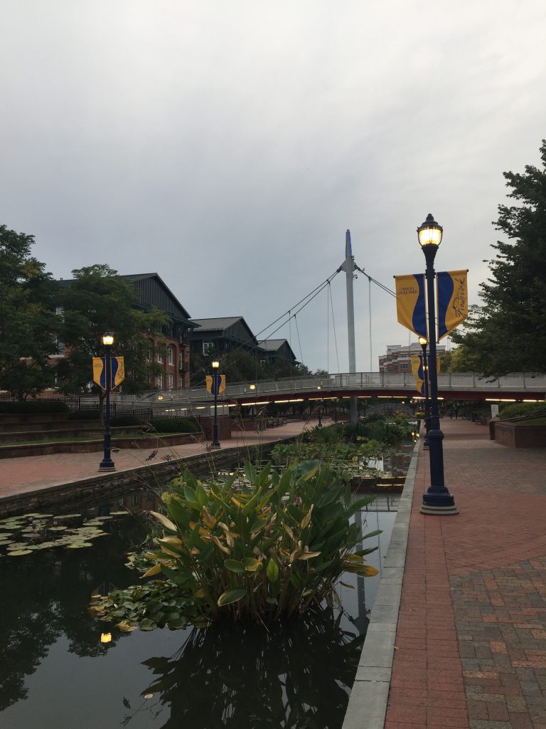 public art trail