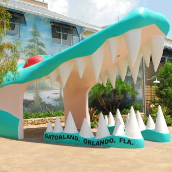 Gatorland Winter Vacations