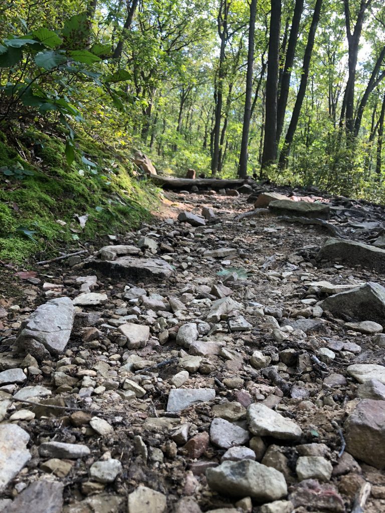 Hike Mount Nittany