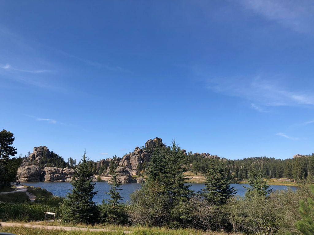 lake at custer state park 