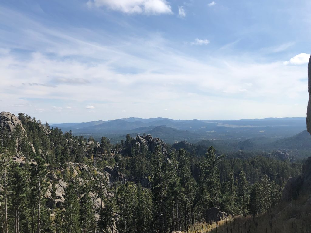 gorgeous overlook from the needles highway