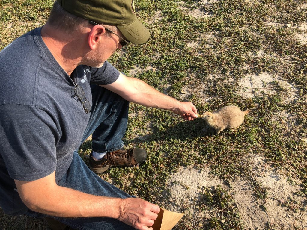 feeding prairie dogs peanuts in south dakota