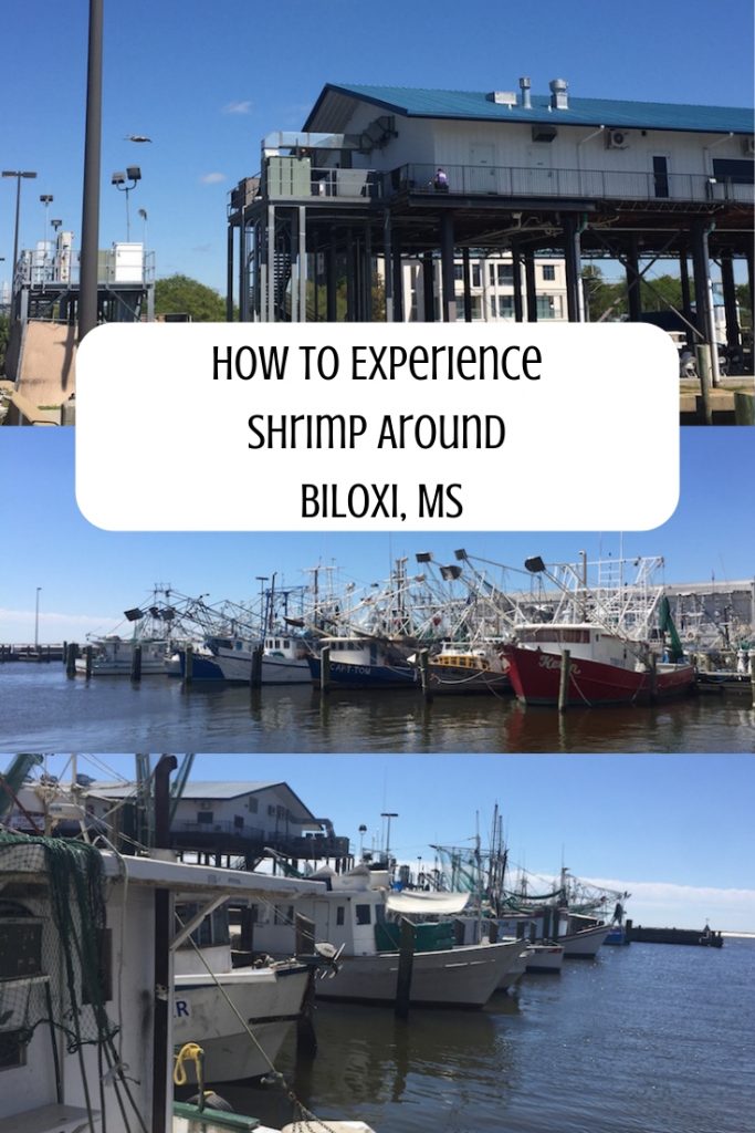How To Experience Shrimp Around Biloxi MS