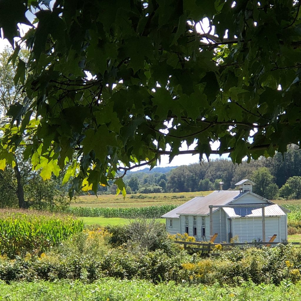 NY Amish Trail 