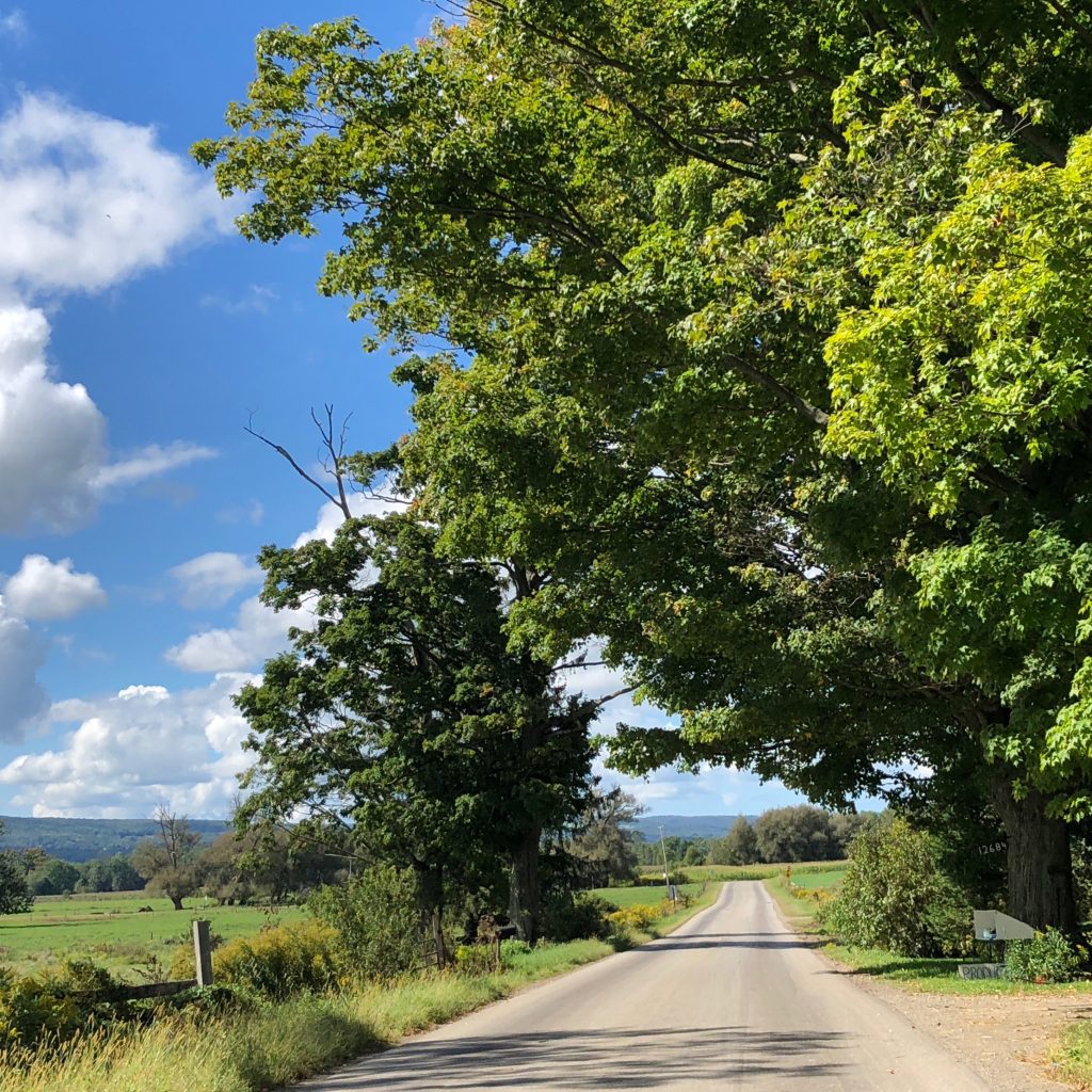 NY Amish Trail 2