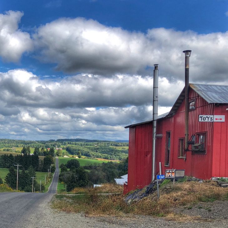Tips For Exploring New York's Amish Trail Just Short of Crazy