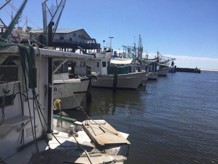 biloxi mississippi shrimp