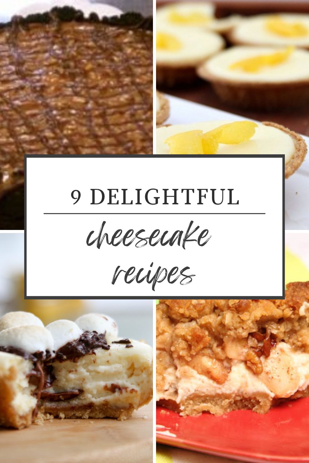 9 delightful cheesecake recipes pinterest pin image