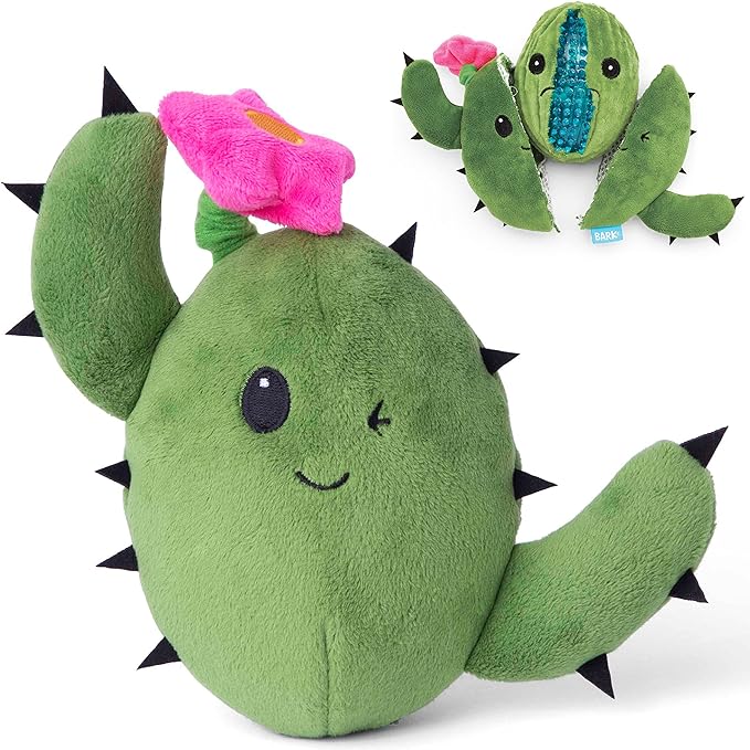 Photo of a Cactus Dog Toy.