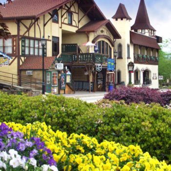 Alpine-Helen-downtown-streetscape-with-flowers