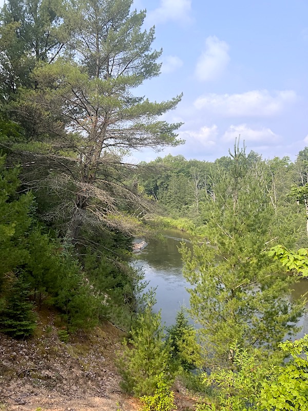 Another View of the Manistee River