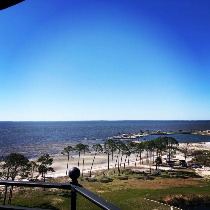 from the top of cape san blas lighthouse