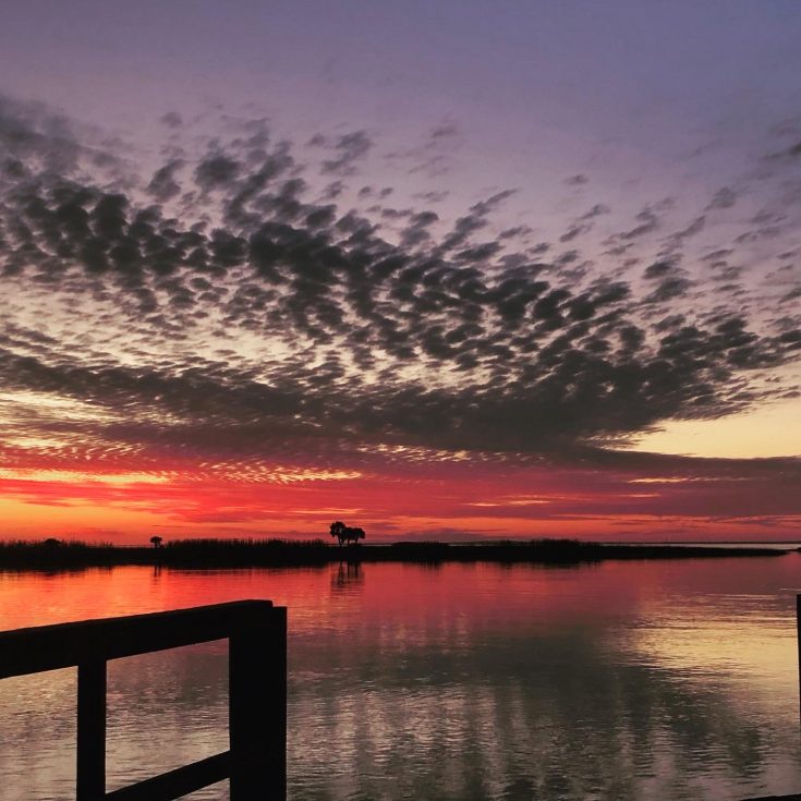 Apalachicola