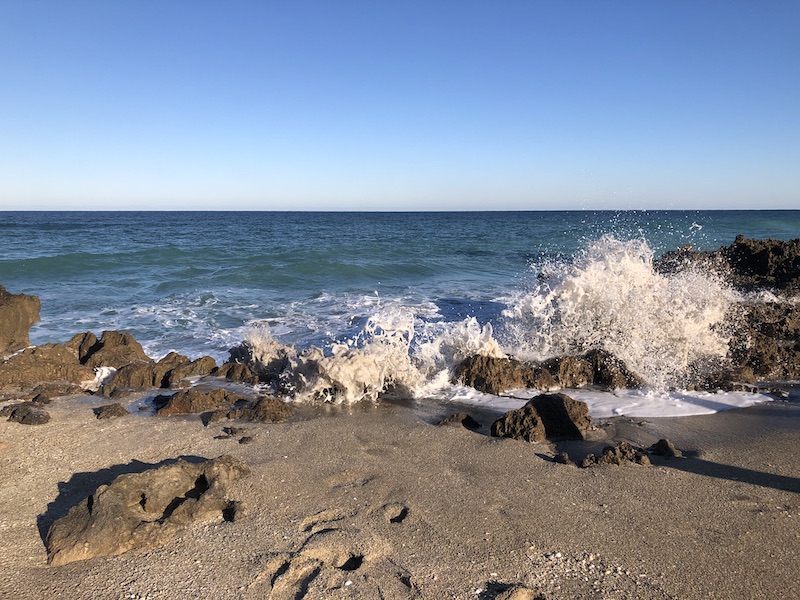 Atlanitc Coastline in Martin County Florida