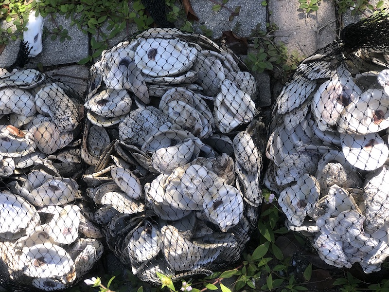 Bags of Oyster Shells
