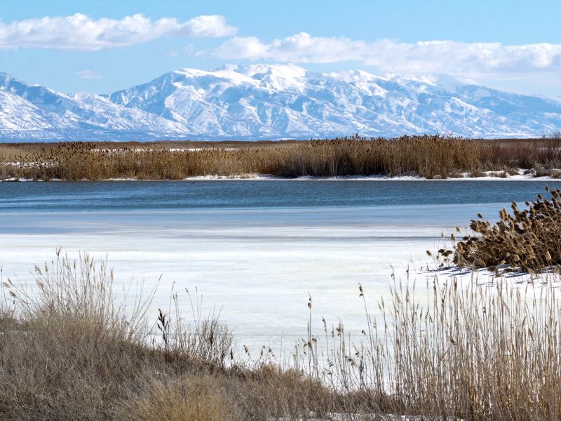 Bear River Migratory Bird Refuge