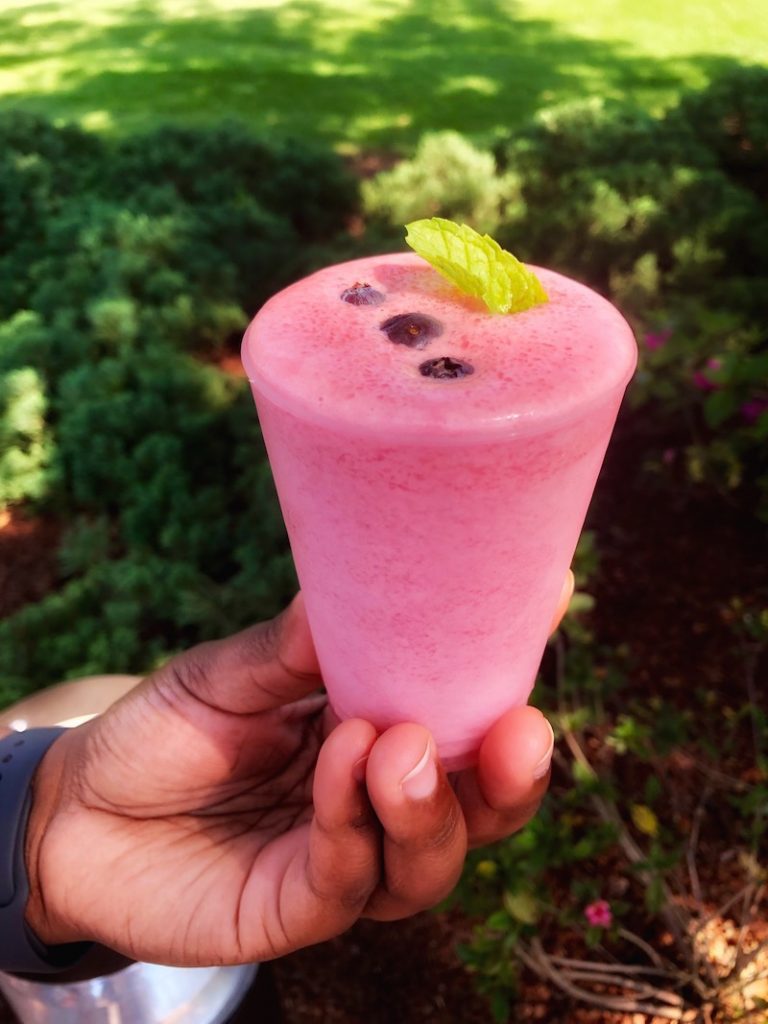 Berry Tea Mint Julep Disney Flower and Garden Show