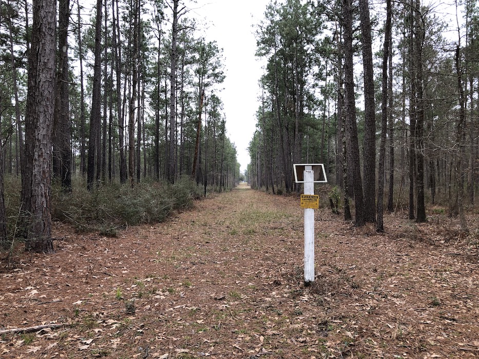 big thicket National park near beaumont tx