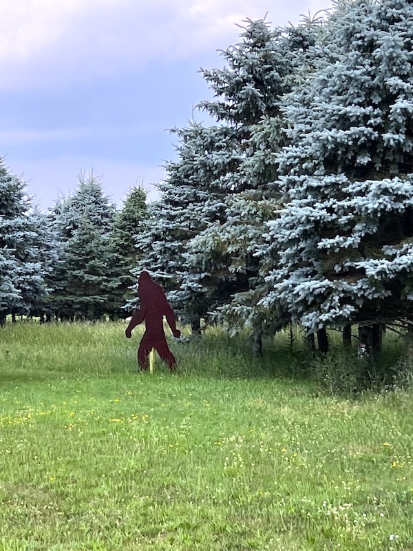 finally spotted a bigfoot