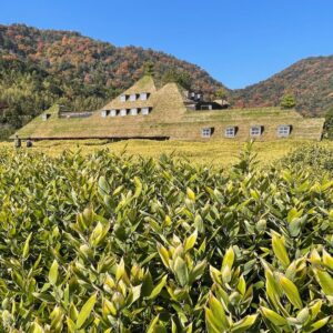 Come Explore La Collina In Omihachiman City, Japan