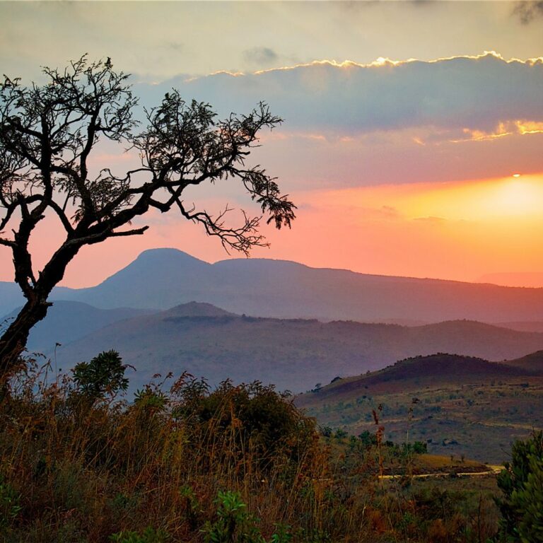 Chasing sunsets and safaris: discovering South Africa’s wild side