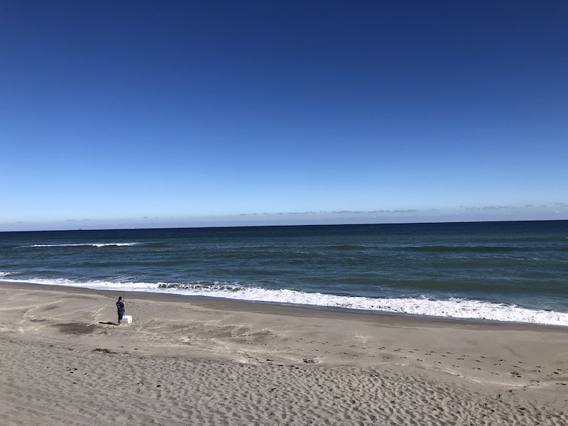 Blowing Rocks Preserve Beach