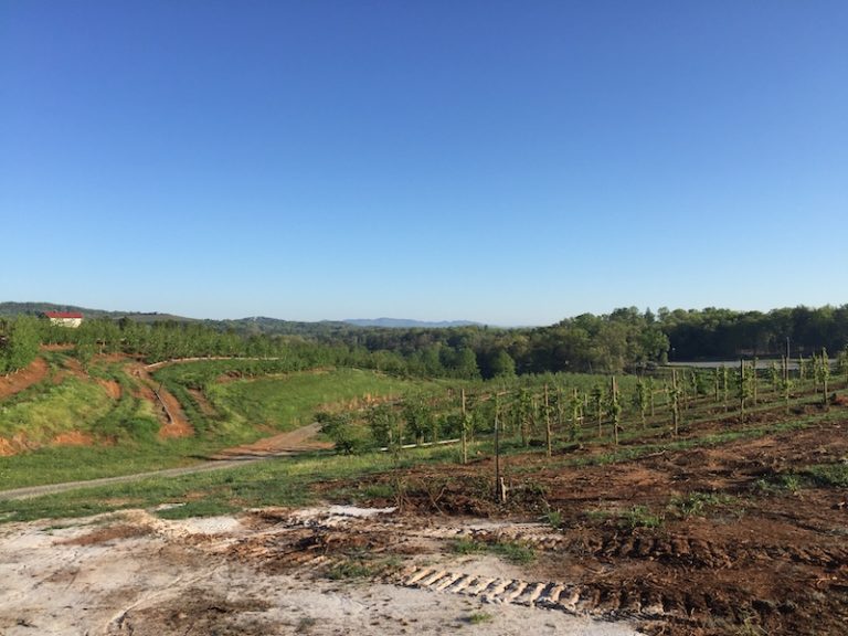 Brews, Bites, and Beautiful Scenery in Blue Ridge, Georgia