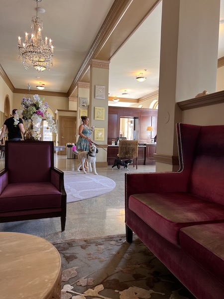 Pet friendly bolling wilson hotel