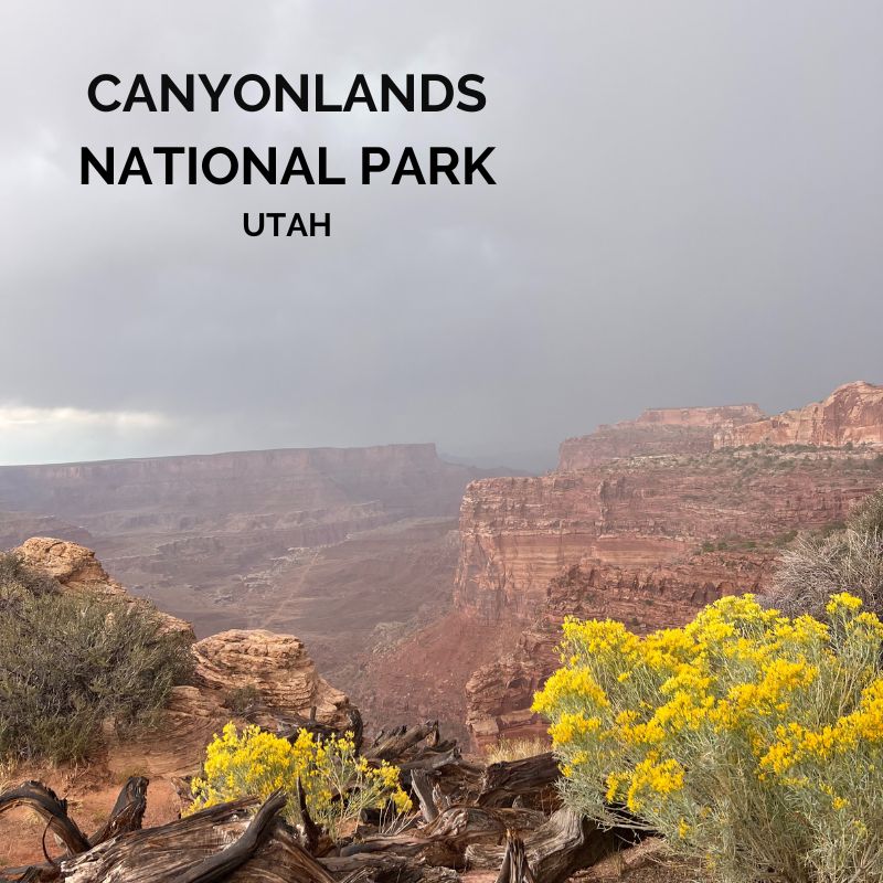 CANYONLANDS NATIONAL PARK (1)