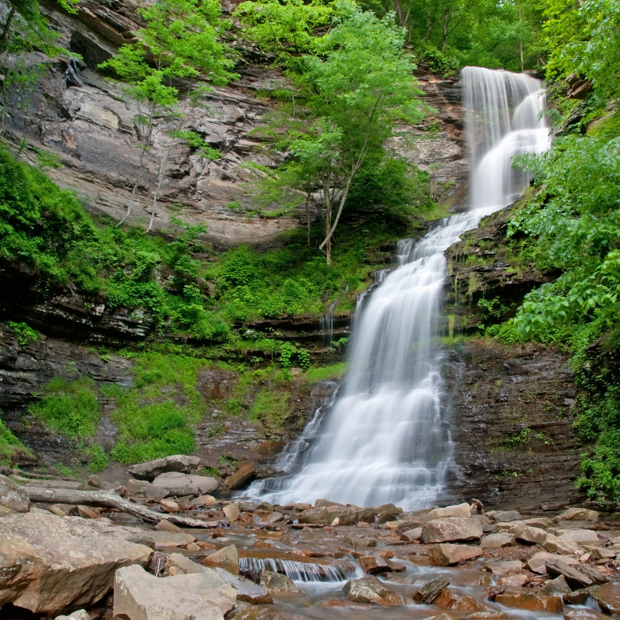 Cathedral Falls