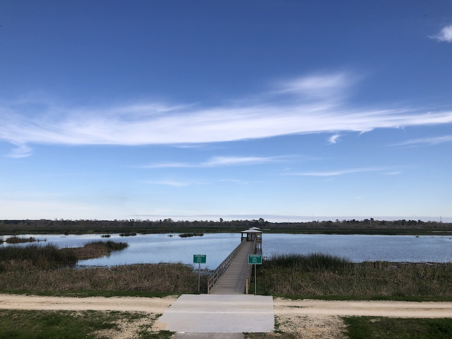 Cattail Marsh Wetlands 1