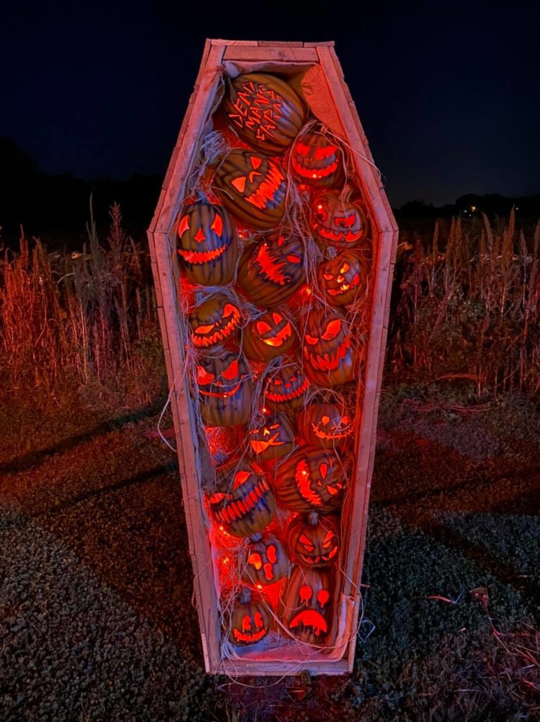 Pumpkin filled coffin
