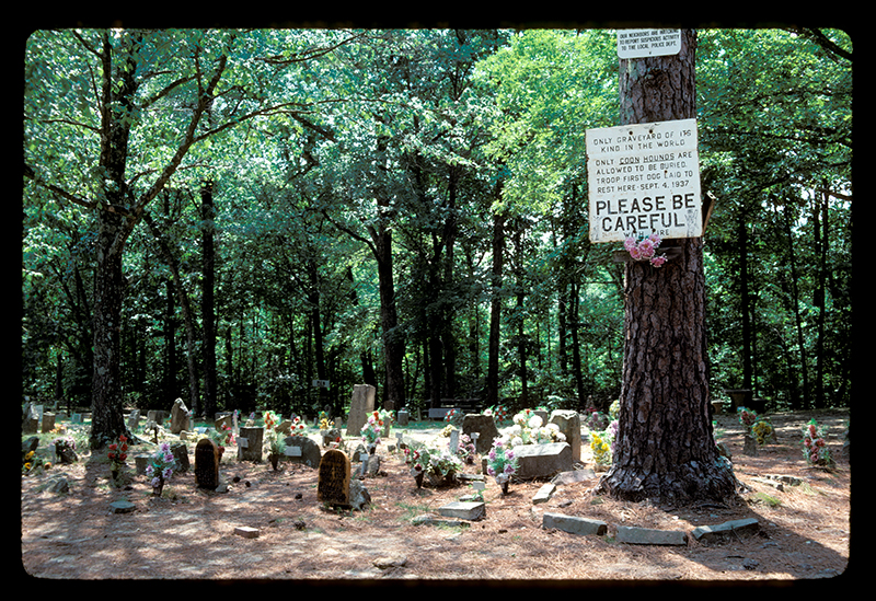 Coon Dog Cemetery