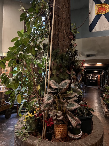 Country Squire Inn & Restaurant, Duplin, NC 20