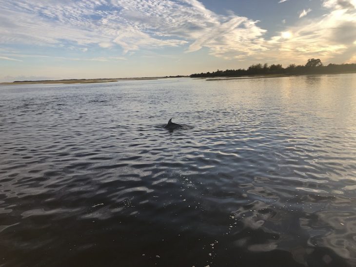 sunset with lady swan