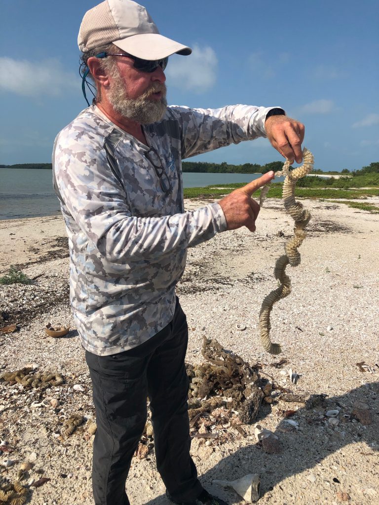 Don telling us about the flora and fauna of the everglades