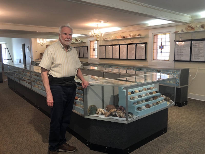 The Stimpson Seashell Museum