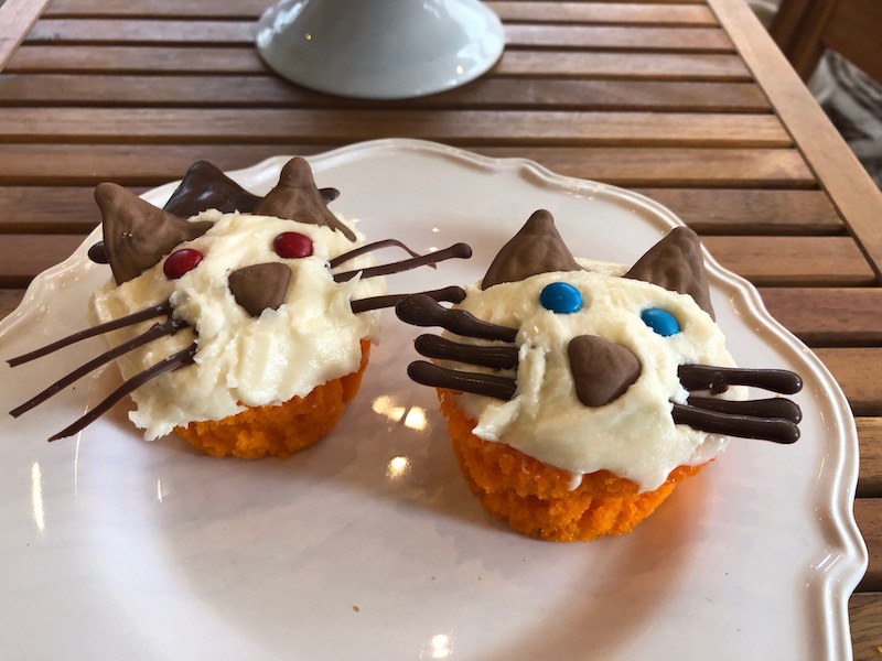 Easy Halloween Cupcakes 5