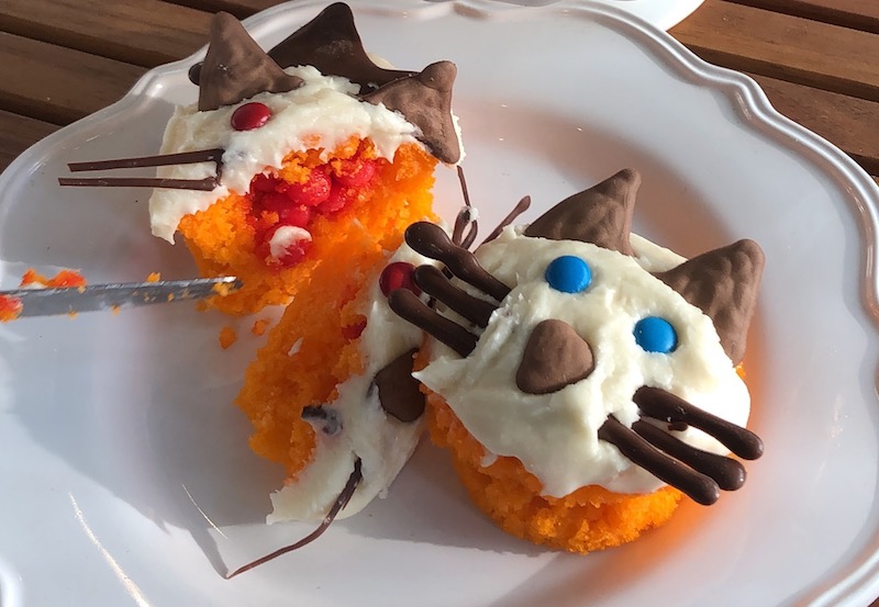 Easy Halloween Cupcakes 5