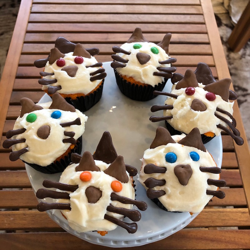 Easy Halloween Cupcakes 5